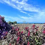 Dalia House - Key To *