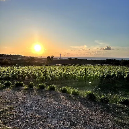 Dalia House - Key To Valledoria (Sardinia)