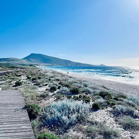 Dalia House - Key To